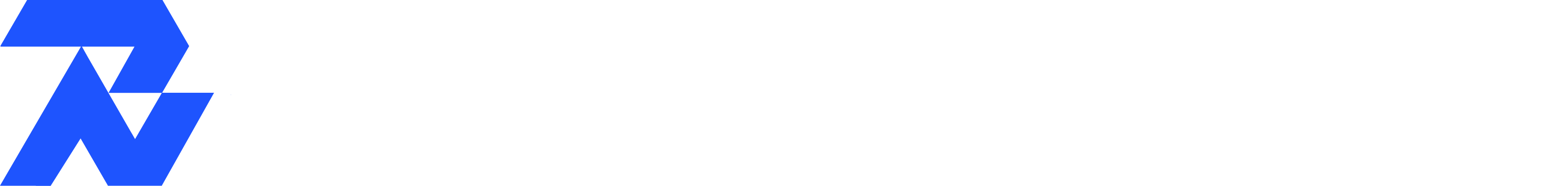 Rasim Networks Logo